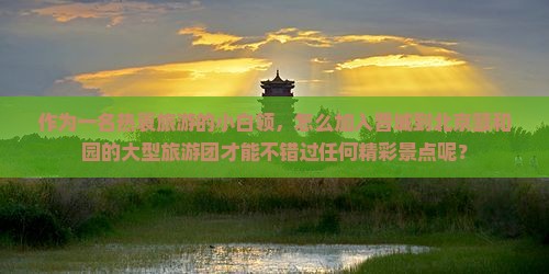 作为一名热衷旅游的小白领，怎么加入晋城到北京颐和园的大型旅游团才能不错过任何精彩景点呢？