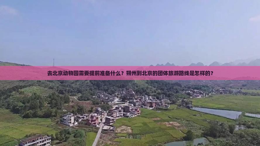 去北京动物园需要提前准备什么？朔州到北京的团体旅游路线是怎样的？