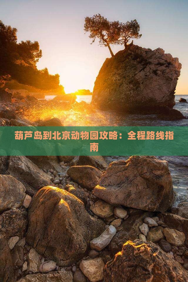 葫芦岛到北京动物园攻略：全程路线指南