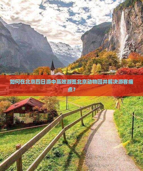 如何在北京四日游中高效游览北京动物园并解决游客痛点？
