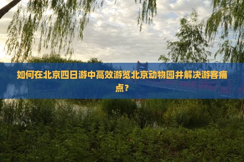 如何在北京四日游中高效游览北京动物园并解决游客痛点？