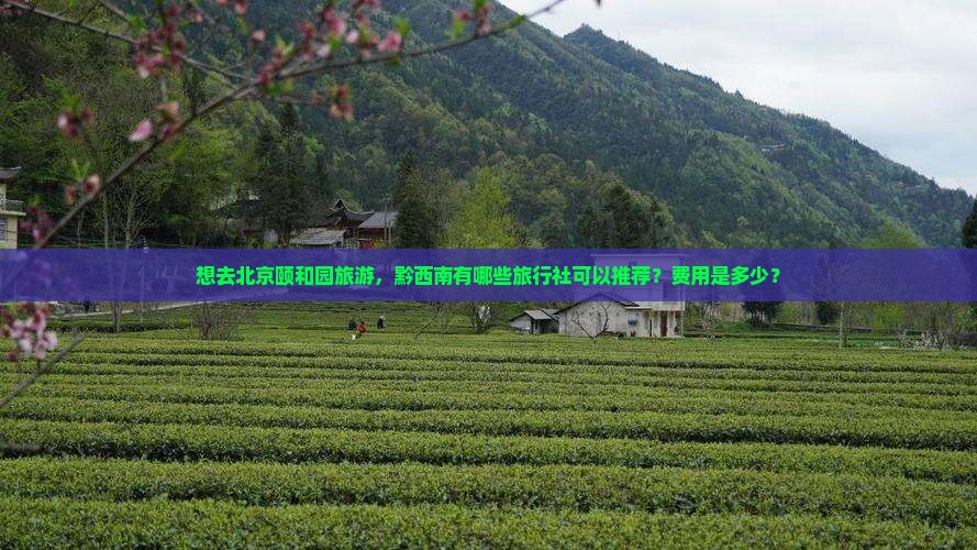 想去北京颐和园旅游，黔西南有哪些旅行社可以推荐？费用是多少？