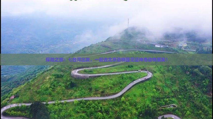 探险之旅：七台河出发，一起去北京动物园见证神奇动物朋友！