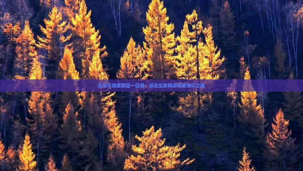 北京环球度假区一日游：崇左出发畅游京城奇幻之旅