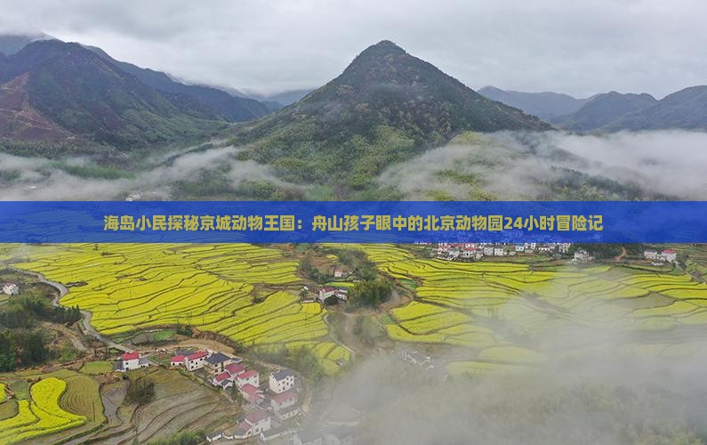 海岛小民探秘京城动物王国：舟山孩子眼中的北京动物园24小时冒险记