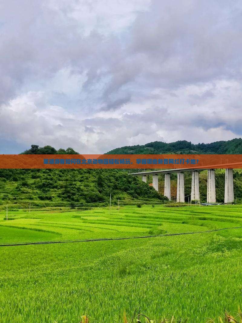 巢湖游客如何在北京动物园轻松畅玩，掌握哪些新晋网红打卡地？