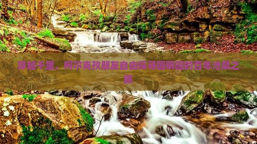 穿越千里，柯尔克孜朋友自由探寻圆明园的百年沧桑之旅