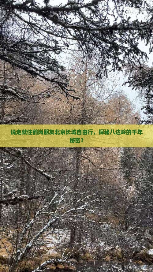 说走就住鹤岗朋友北京长城自由行，探秘八达岭的千年秘密？