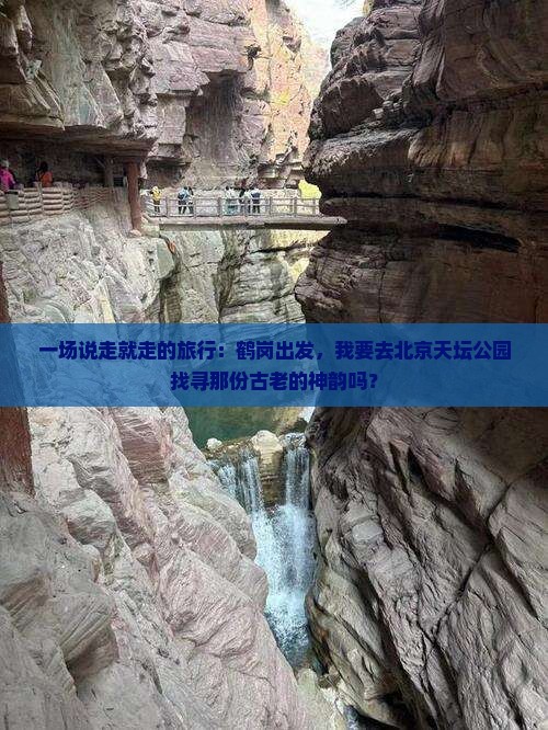 一场说走就走的旅行：鹤岗出发，我要去北京天坛公园找寻那份古老的神韵吗？