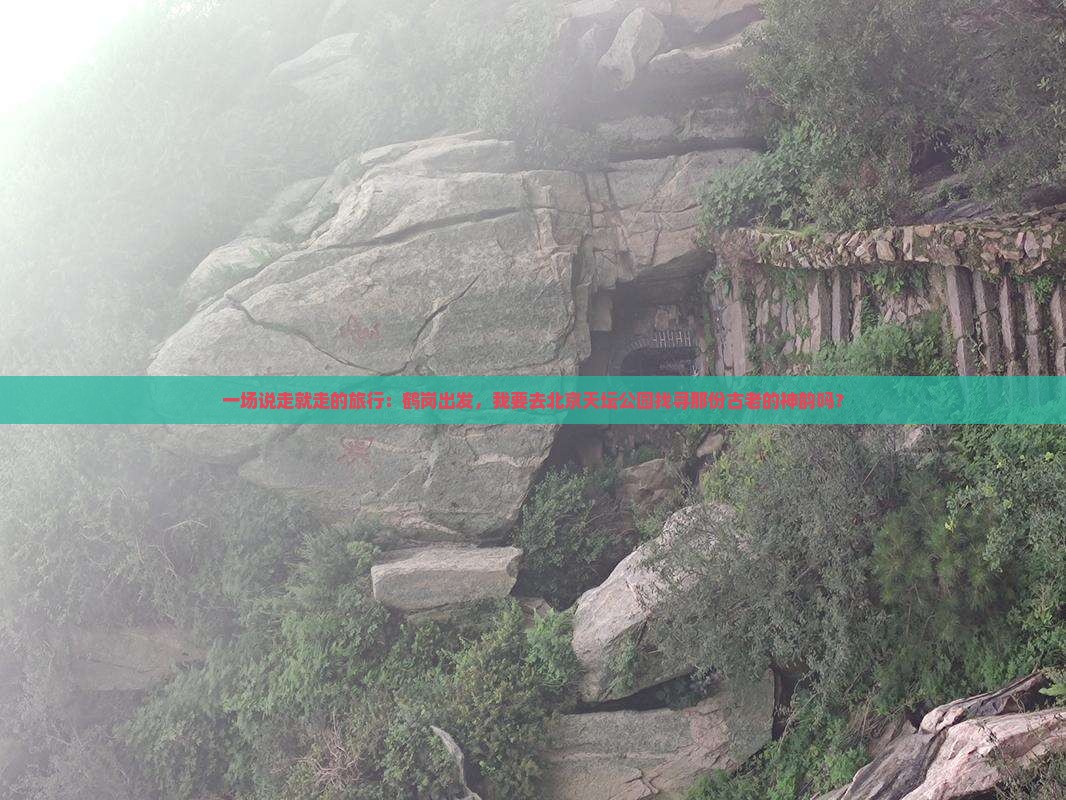 一场说走就走的旅行：鹤岗出发，我要去北京天坛公园找寻那份古老的神韵吗？