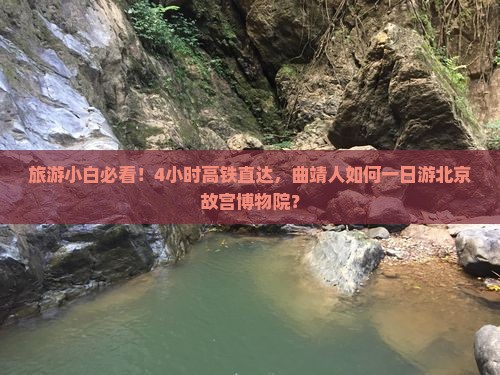 旅游小白必看！4小时高铁直达，曲靖人如何一日游北京故宫博物院？