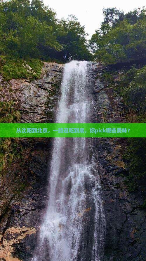 从沈阳到北京，一路逛吃到底，你pick哪些美味？