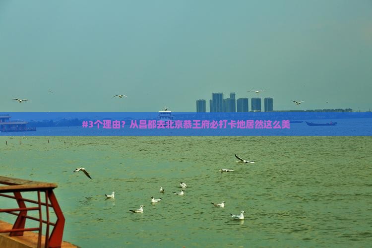 #3个理由？从昌都去北京恭王府必打卡地居然这么美