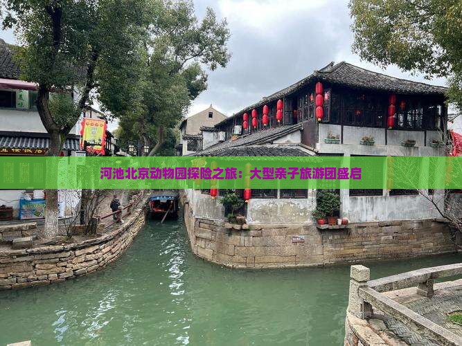 河池北京动物园探险之旅：大型亲子旅游团盛启