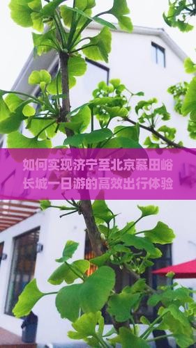 如何实现济宁至北京慕田峪长城一日游的高效出行体验？