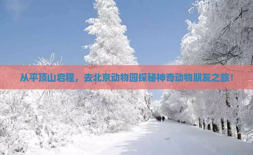 从平顶山启程，去北京动物园探秘神奇动物朋友之旅！