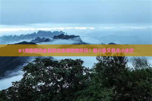 #1游客提问金昌到北京博物馆咋玩？超兴奋又有点小迷茫