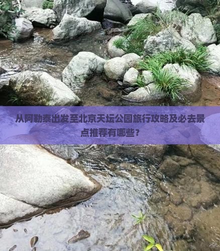 从阿勒泰出发至北京天坛公园旅行攻略及必去景点推荐有哪些？
