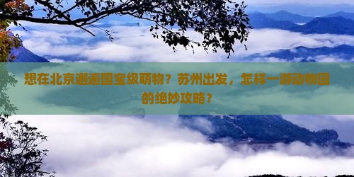 想在北京邂逅国宝级萌物？苏州出发，怎样一游动物园的绝妙攻略？