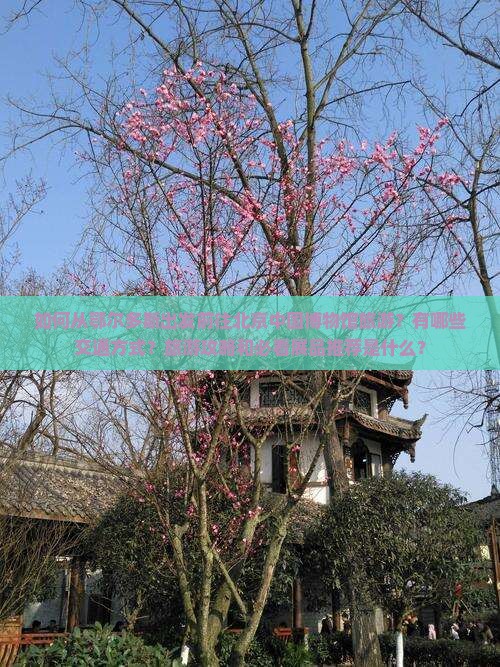 如何从鄂尔多斯出发前往北京中国博物馆旅游？有哪些交通方式？旅游攻略和必看展品推荐是什么？