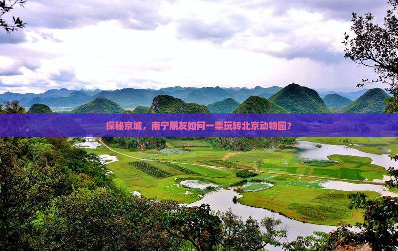 探秘京城，南宁朋友如何一票玩转北京动物园？
