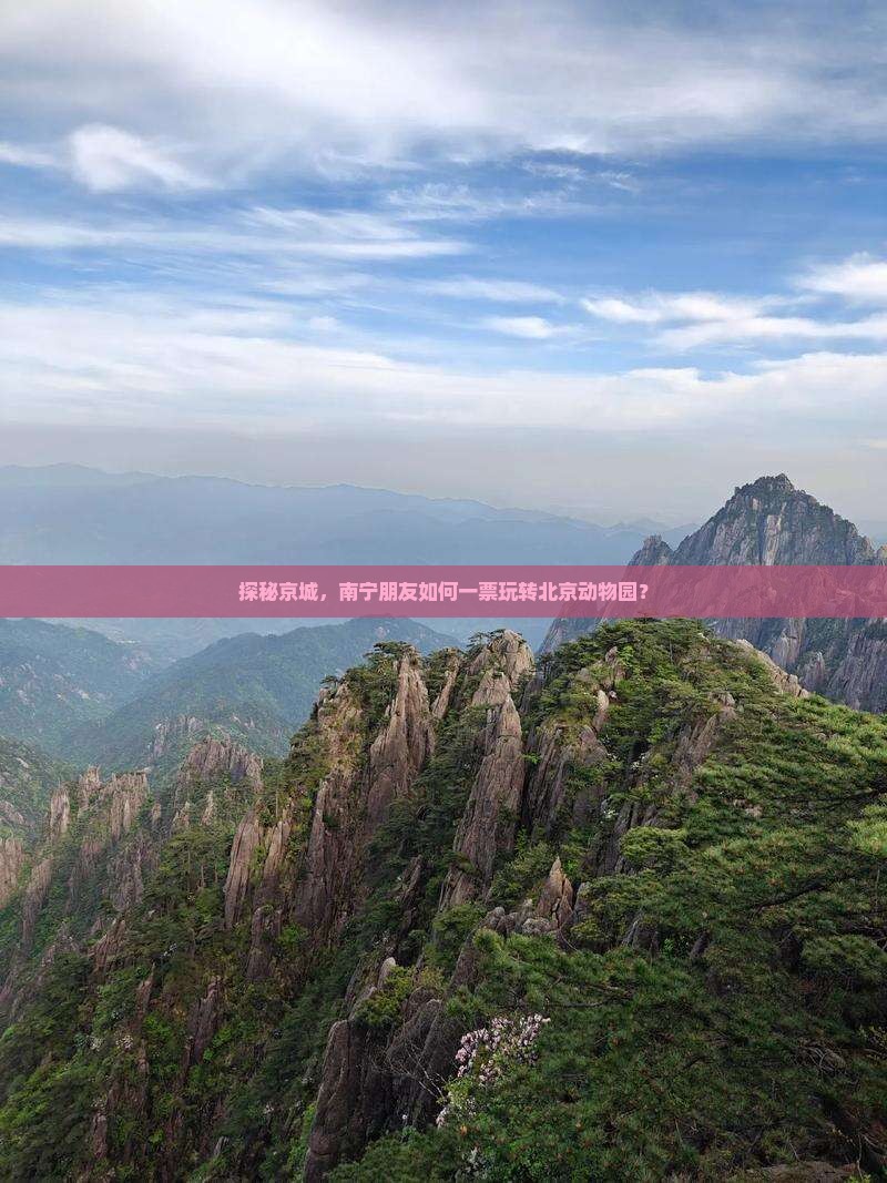 探秘京城，南宁朋友如何一票玩转北京动物园？
