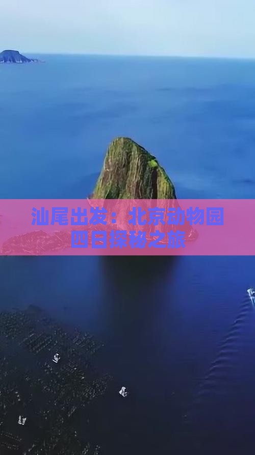 汕尾出发：北京动物园四日探秘之旅