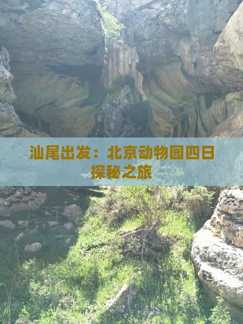 汕尾出发：北京动物园四日探秘之旅