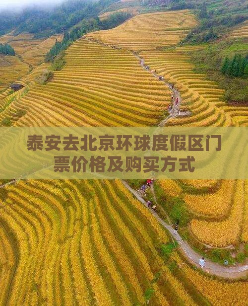 泰安去北京环球度假区门票