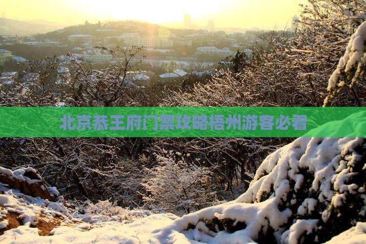 梧州去北京恭王府门票