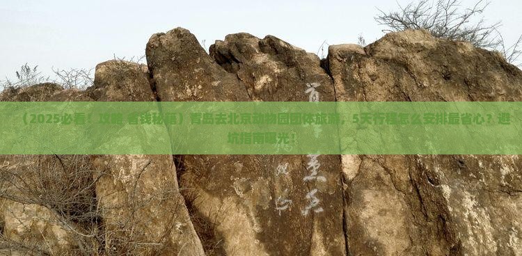 青岛去北京动物园团体旅游