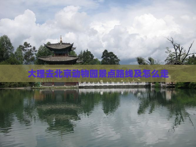 大理去北京动物园景点
