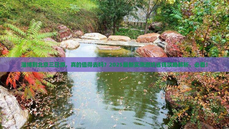 淄博到北京三日游