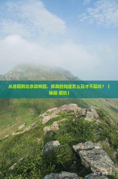 洛阳到北京动物园景点