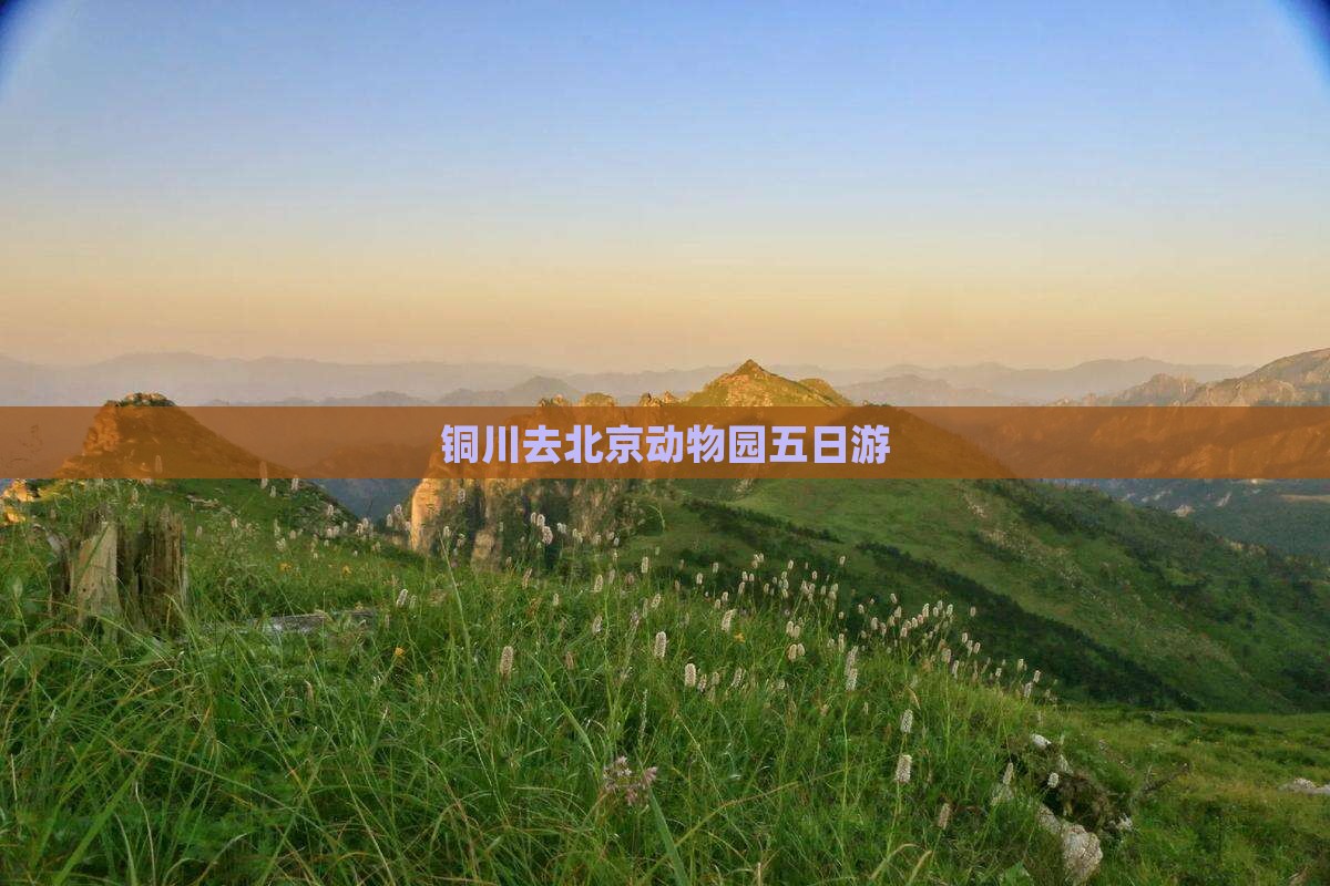 铜川去北京动物园五日游