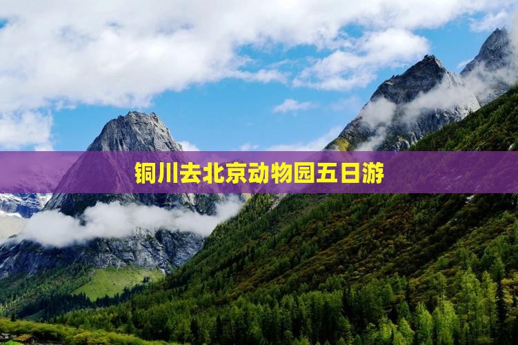 铜川去北京动物园五日游