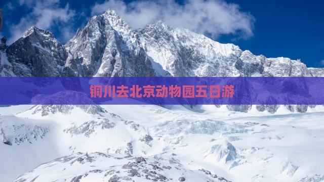 铜川去北京动物园五日游