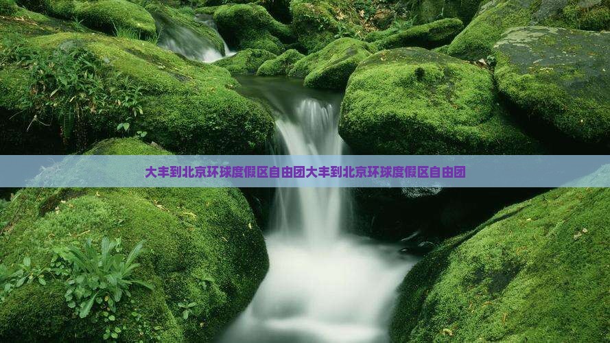 大丰到北京环球度假区自由团