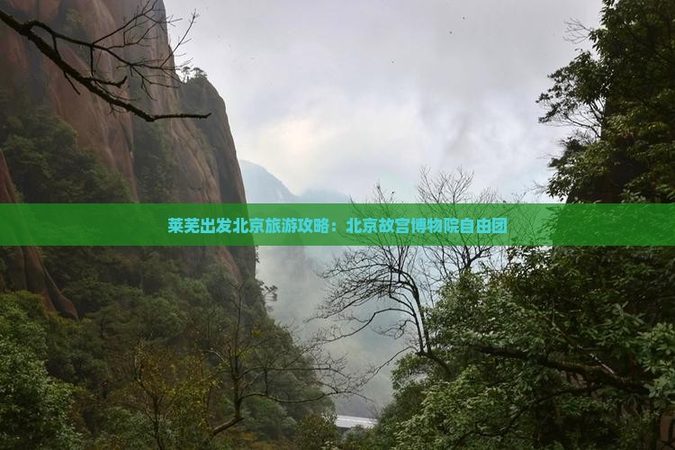 莱芜去北京故宫博物院自由团