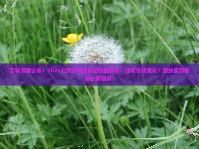吉林到北京颐和园旅游