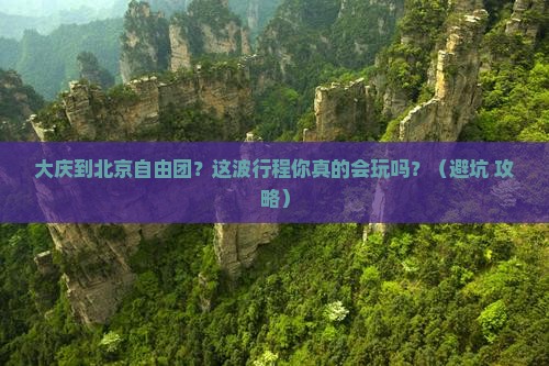大庆到北京自由团