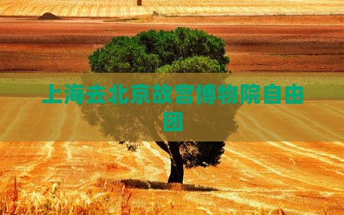 上海去北京故宫博物院自由团