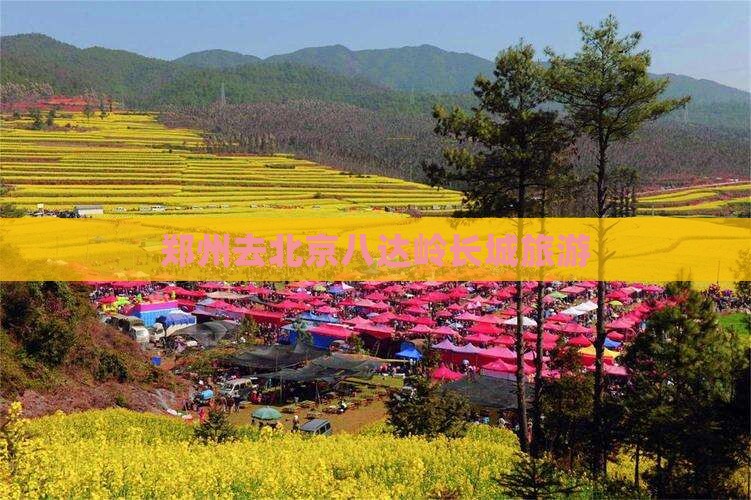 郑州去北京八达岭长城旅游