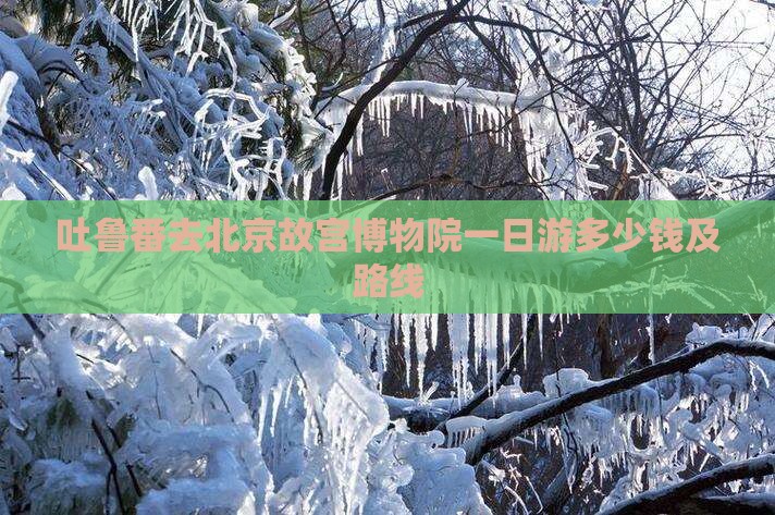吐鲁番去北京故宫博物院一日游