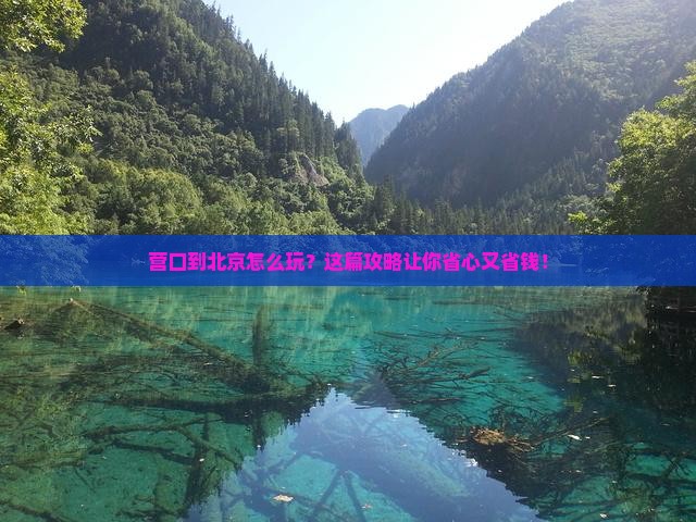 营口到北京旅行社