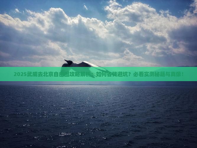 武威去北京自由团