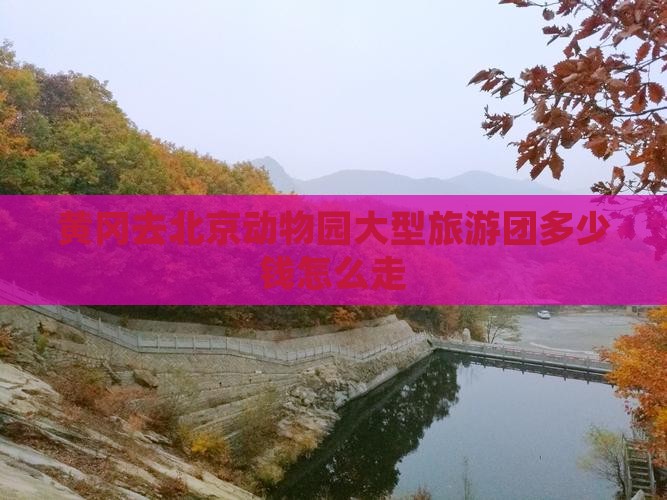 黄冈去北京动物园大型旅游团