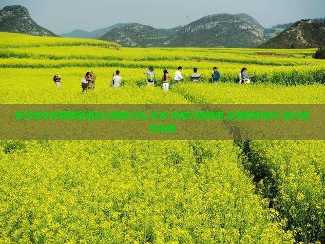 秋天到北京圆明园遗址公园旅行社