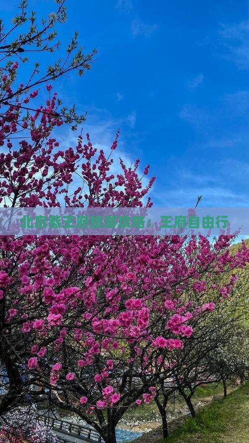 朝阳到北京恭王府自由行