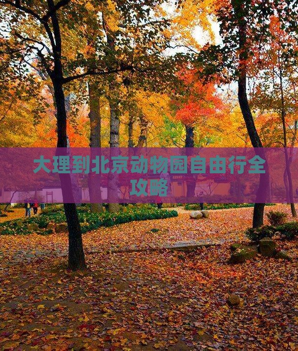 大理去北京动物园自由行